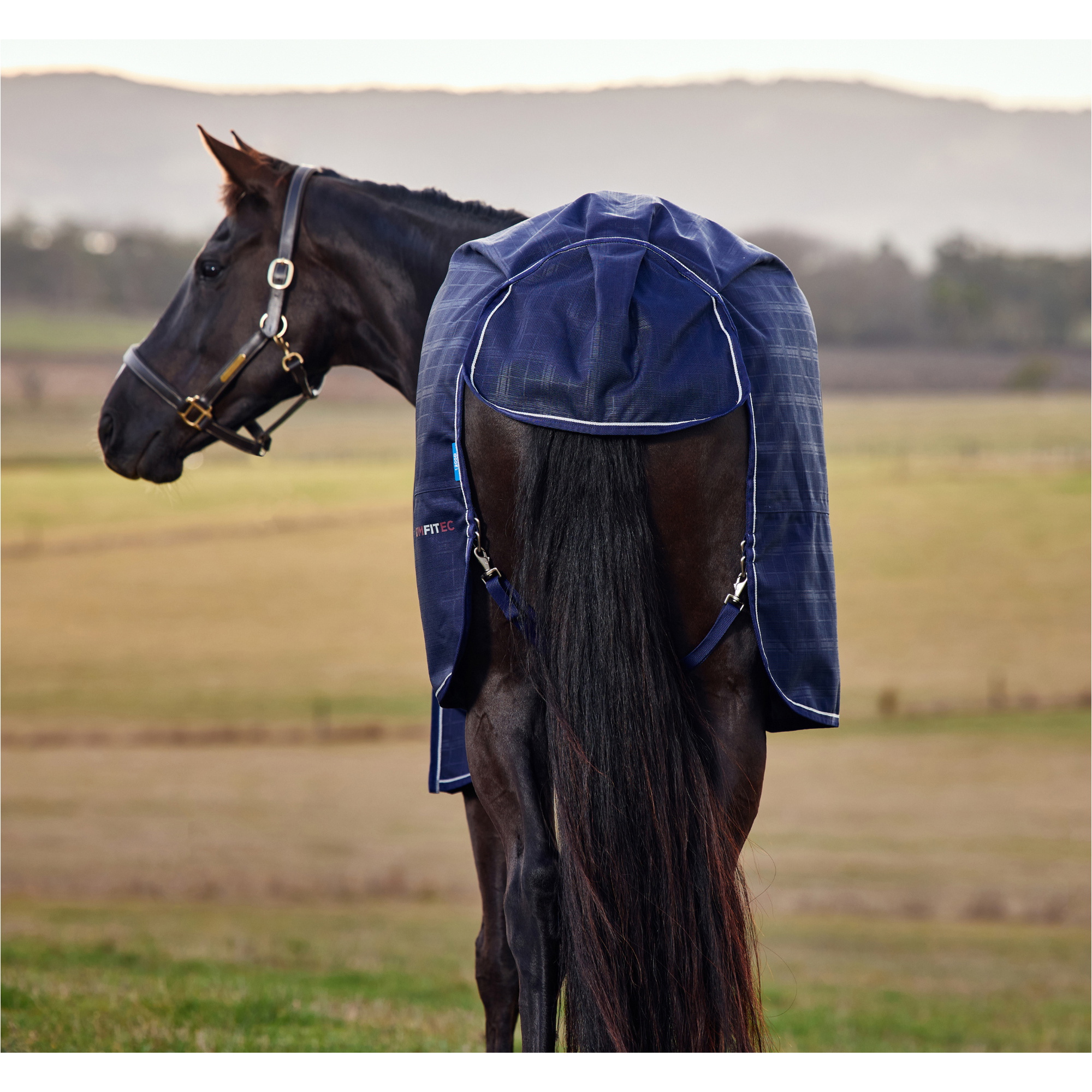 2025 Weatherbeeta Comfitec Prelim Salida 220G 1029032 - Navy Embossed Plaid